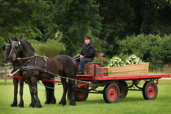 rouwkoets_platte_wagen_stalhouderij_de_zadelhoff